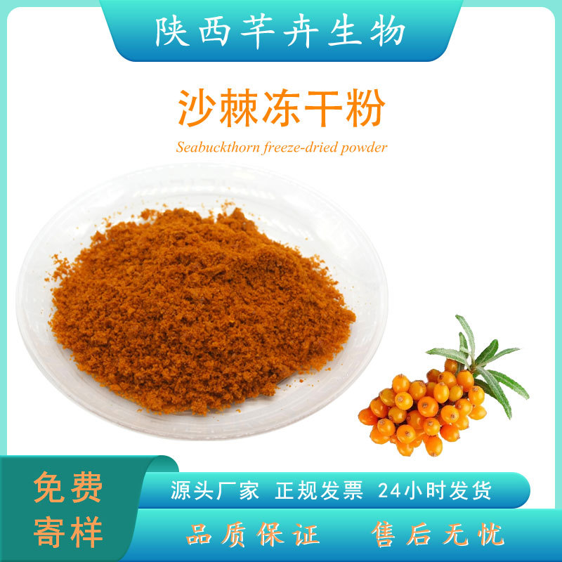 沙棘冻干粉99% 沙棘果提取物 食品级沙棘鲜果粉 冷冻干燥100g包邮.jpg