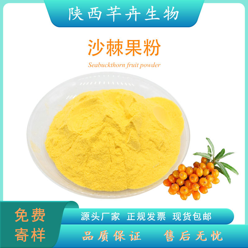沙棘粉99% 沙棘喷雾粉 水溶沙棘果粉 沙棘提取物 厂家现货1KG包邮.jpg
