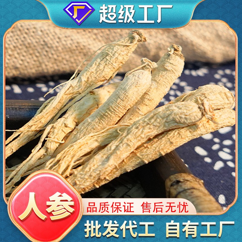 OEM加工定制山参干人参批发火锅煲汤泡酒无熏硫整枝生晒参代发.jpg