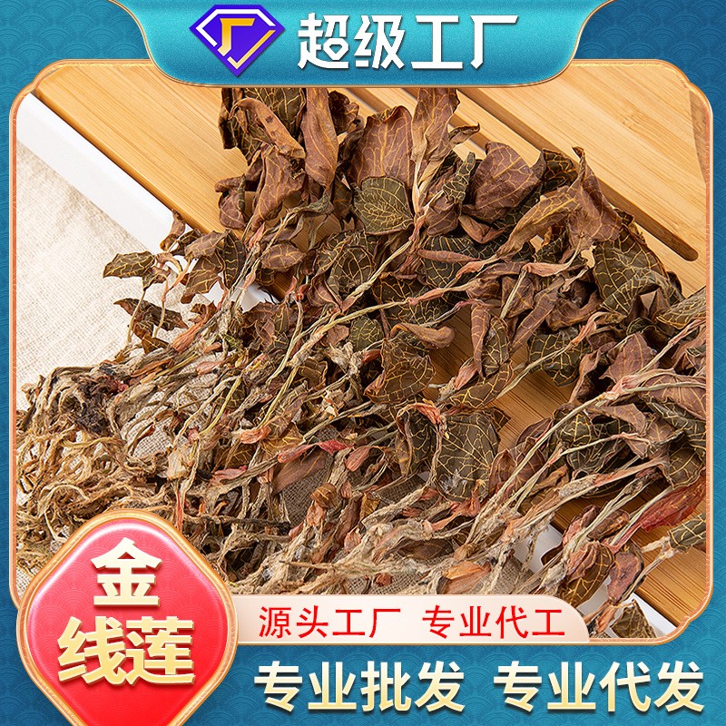 福建干货纯叶全株金线莲批发泡水煲汤种植尖叶代发金线莲养生茶.jpg