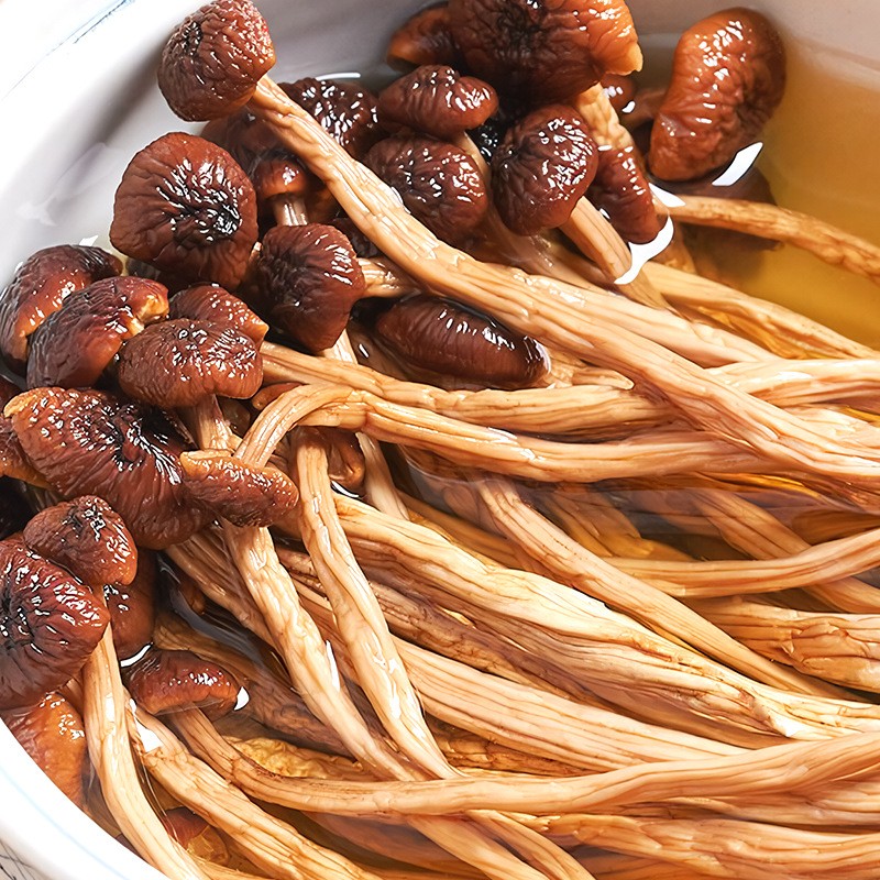 OEM定制加工茶树菇广东厂家干货批发商用袋装干茶树菇一件代发.jpg