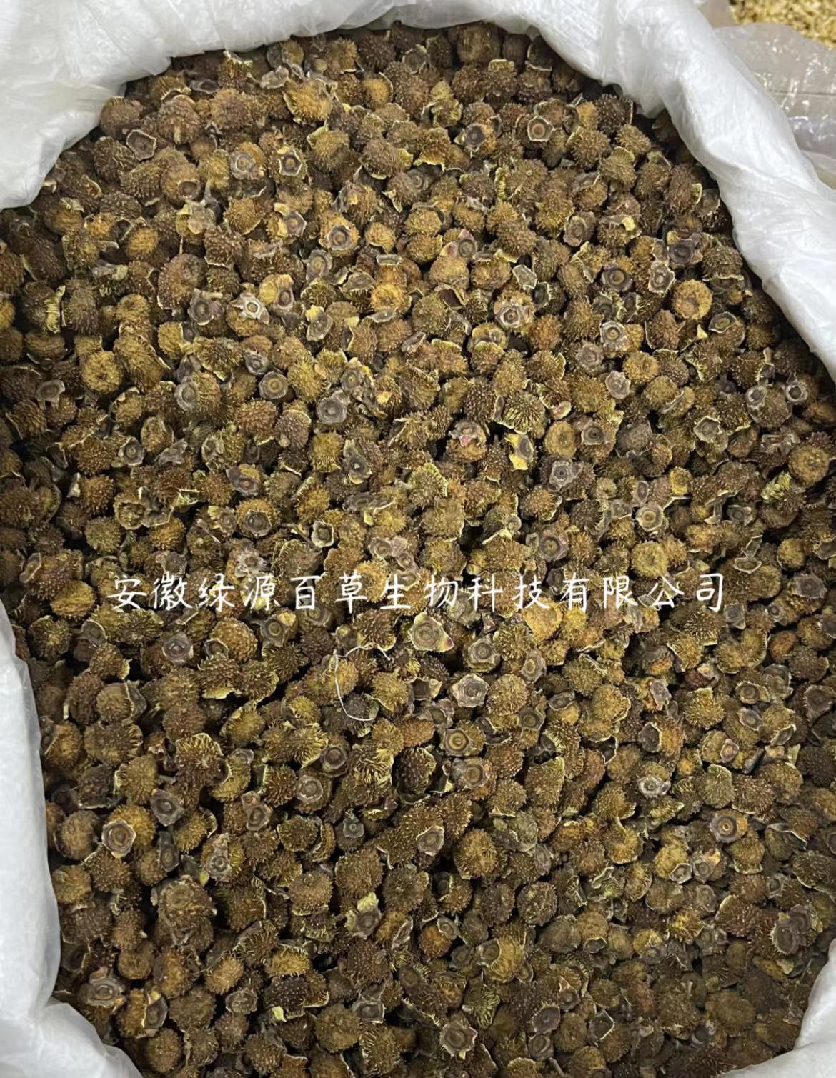 厂家批发贵州刺梨干散装刺梨干果 野生刺梨脱刺选货泡水泡酒 代发.jpg