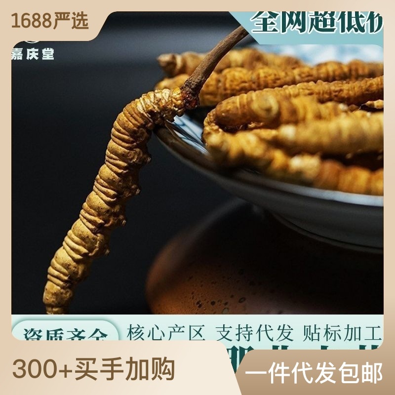 西藏那曲冬虫夏草正品冻干 传统滋补品营养品 虫草干货源头批发.jpg