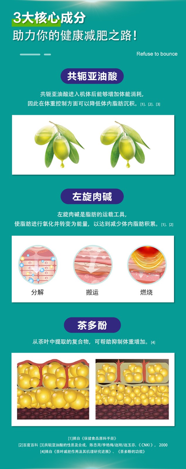 百合康牌共轭亚油酸绿茶肉碱软胶囊-详情_04.jpg