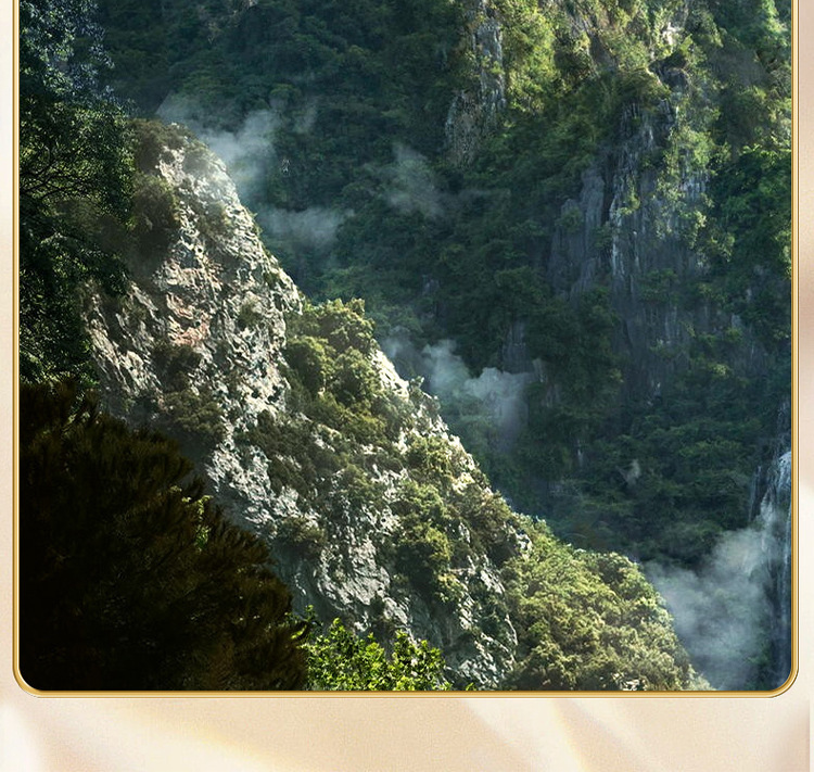 20240124_164733_1062.jpg
