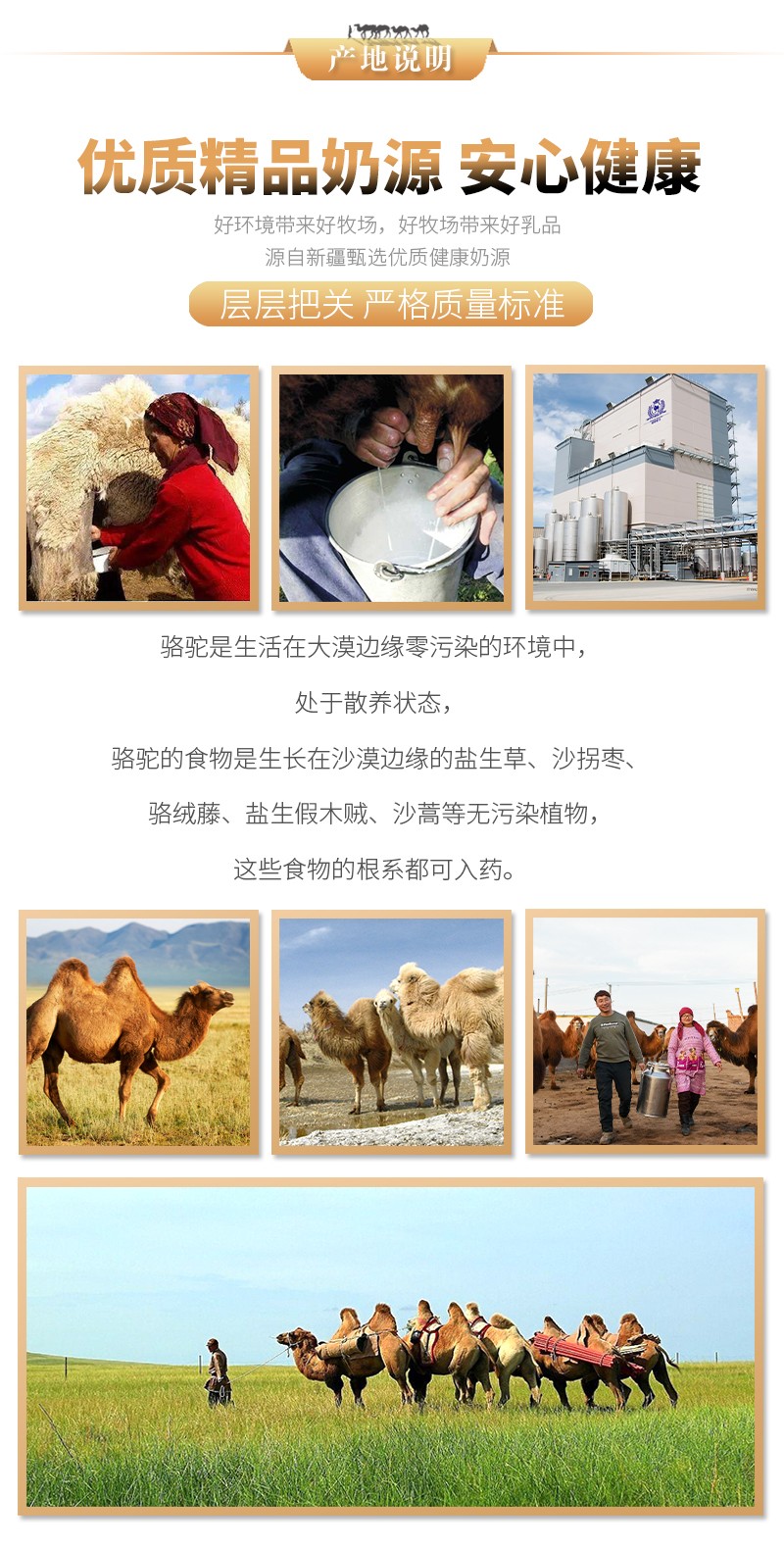 塞美特燕窝酸初乳配方驼乳粉 (5).jpg