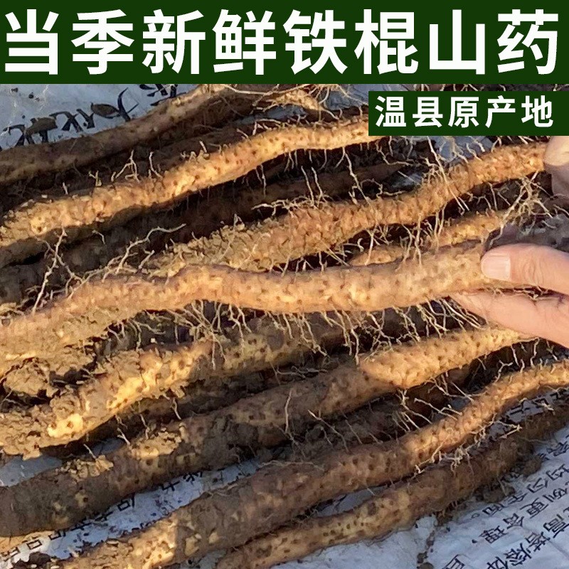 厂家批发新鲜铁棍山药河南特产焦作垆土铁棍山药温县铁杆怀山药棍.jpg