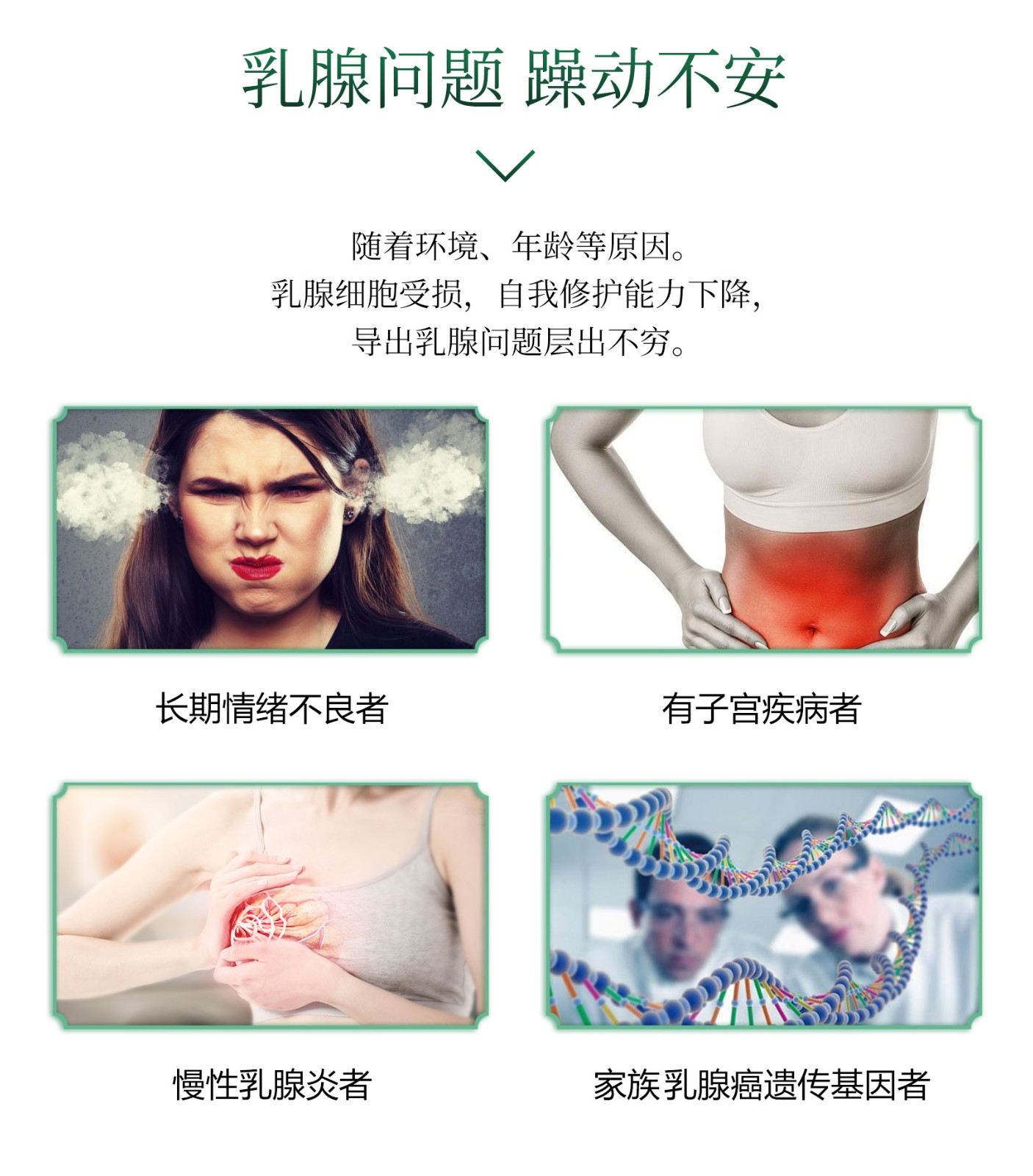 舒焕汇美套_04.jpg