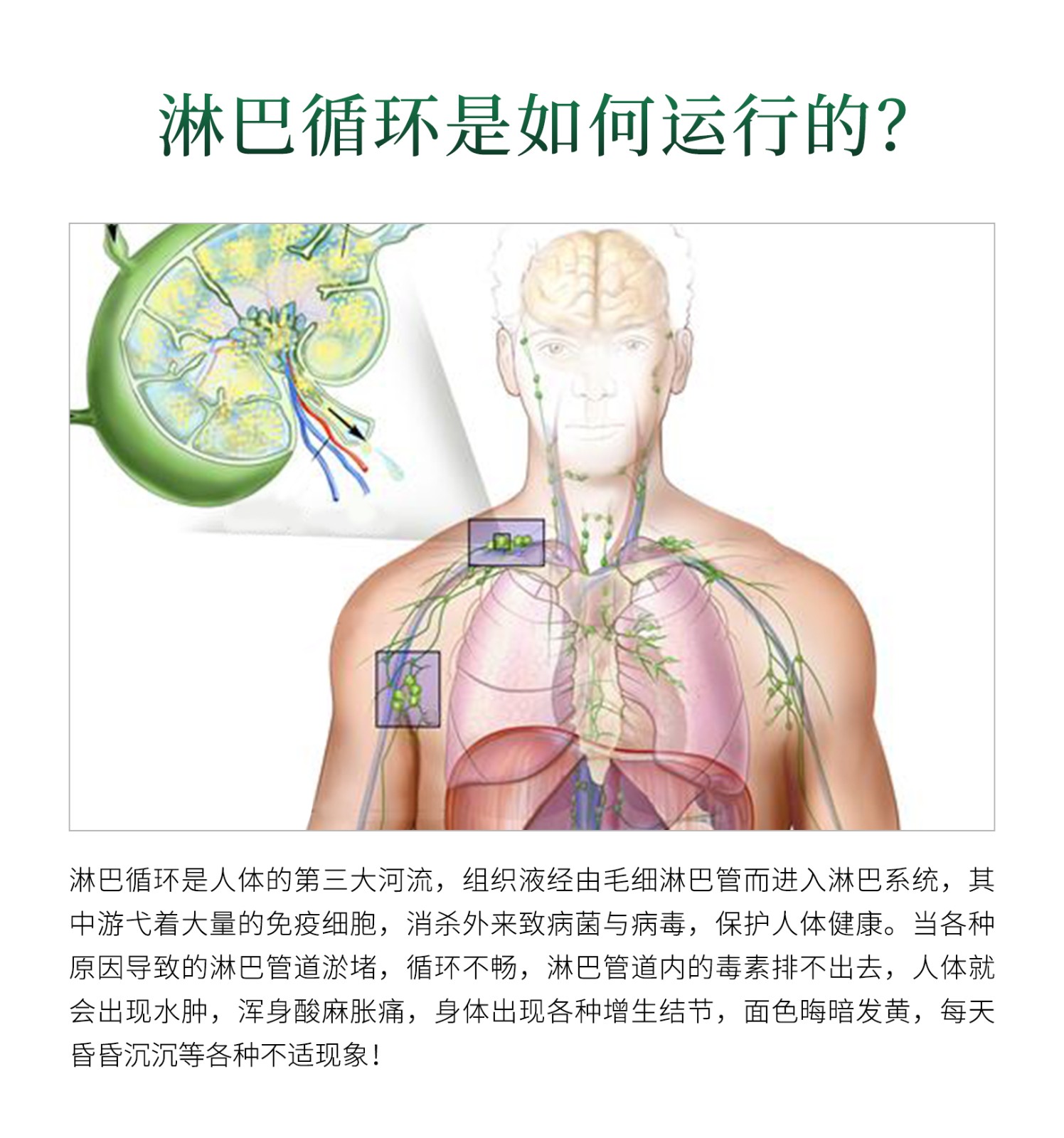 舒适宁详情页_04.jpg
