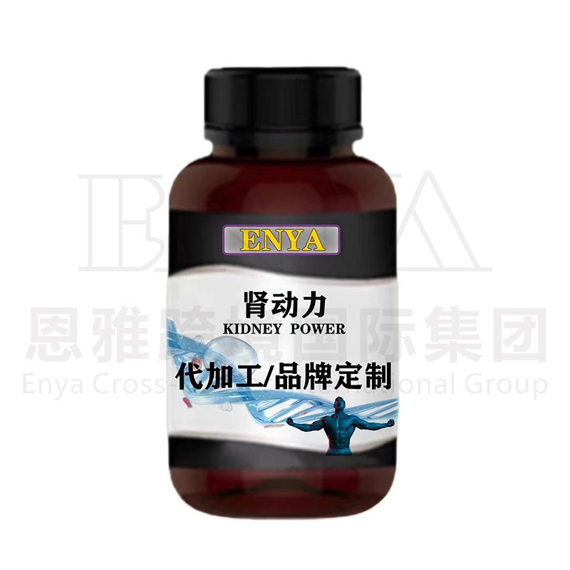 肾动力.jpg