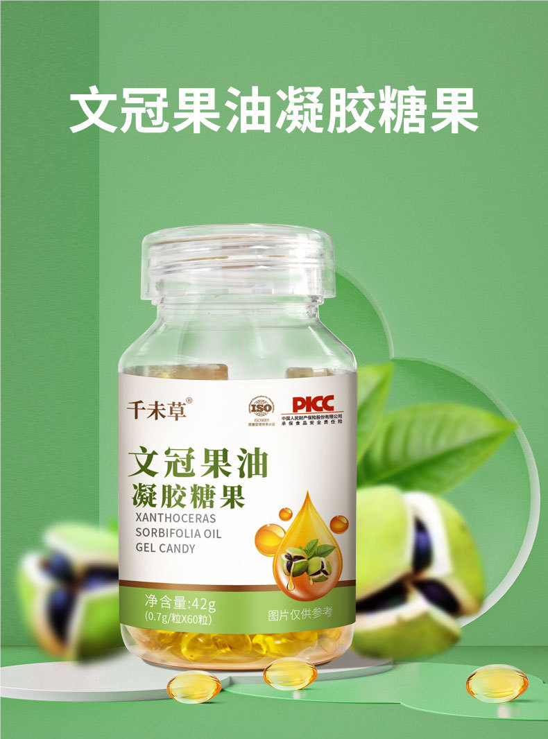 文冠果油凝胶糖果.png