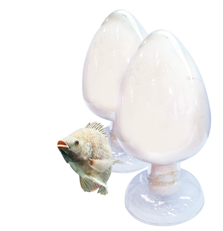 胶原蛋白肽.png