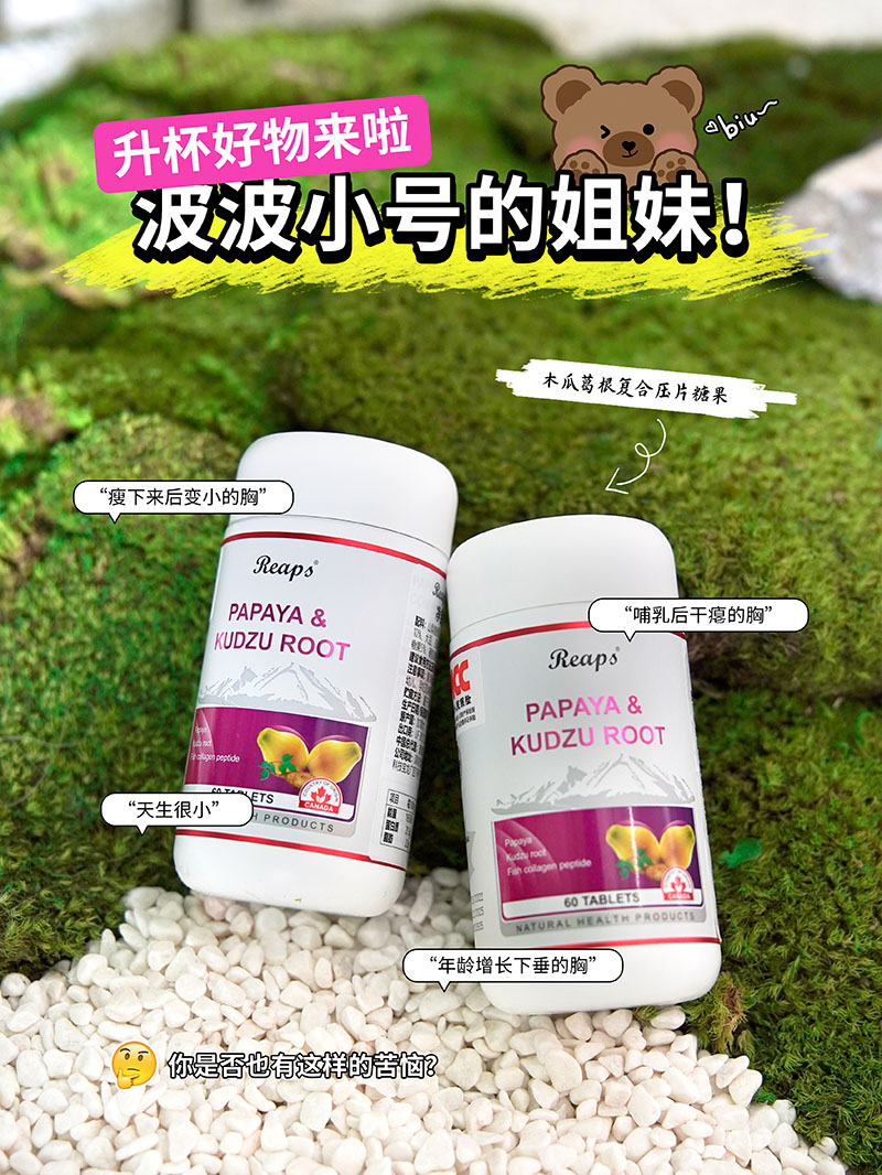 Reaps瑞普斯木瓜葛根复合压片糖果2.jpg