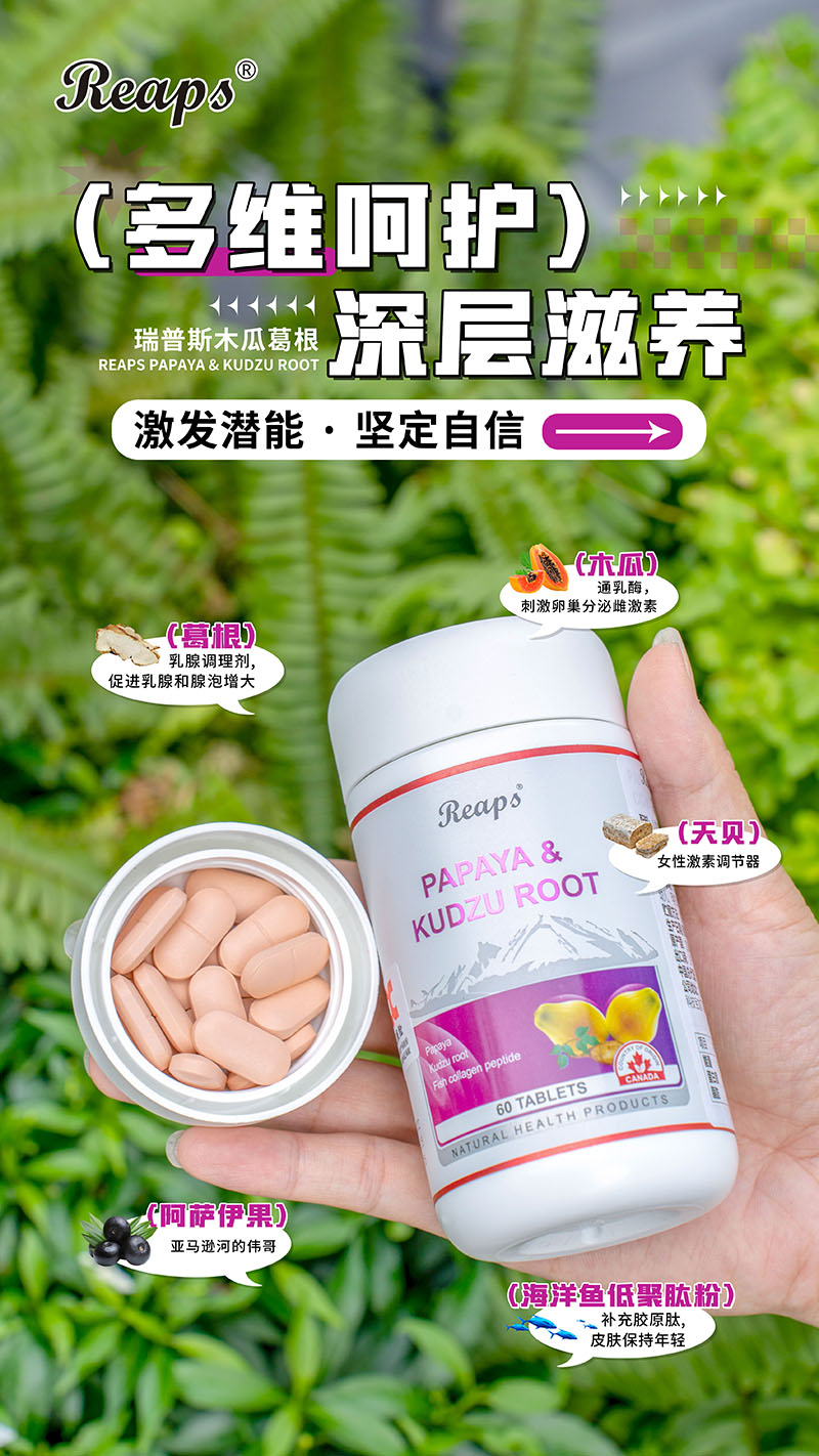 Reaps瑞普斯木瓜葛根复合压片糖果6.jpg