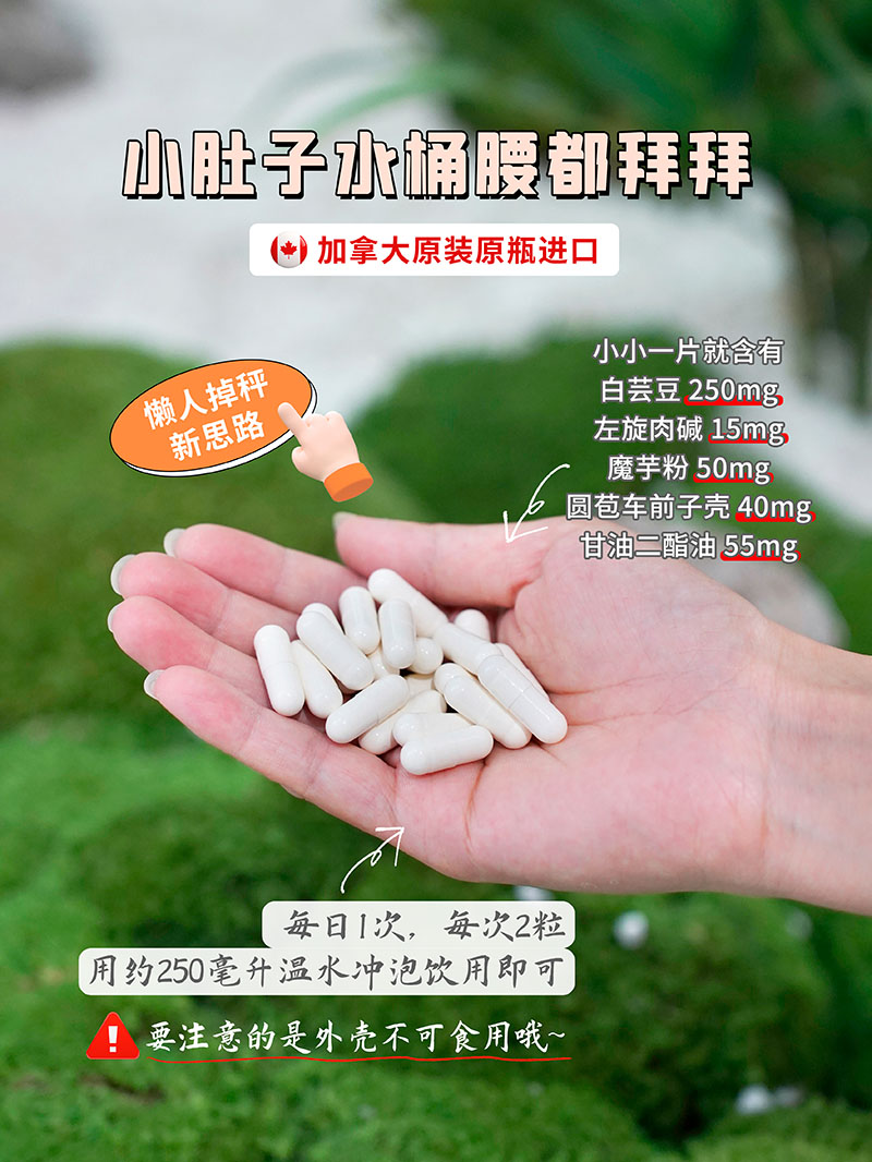 Reaps瑞普斯左旋肉碱白芸豆复合粉3.jpg