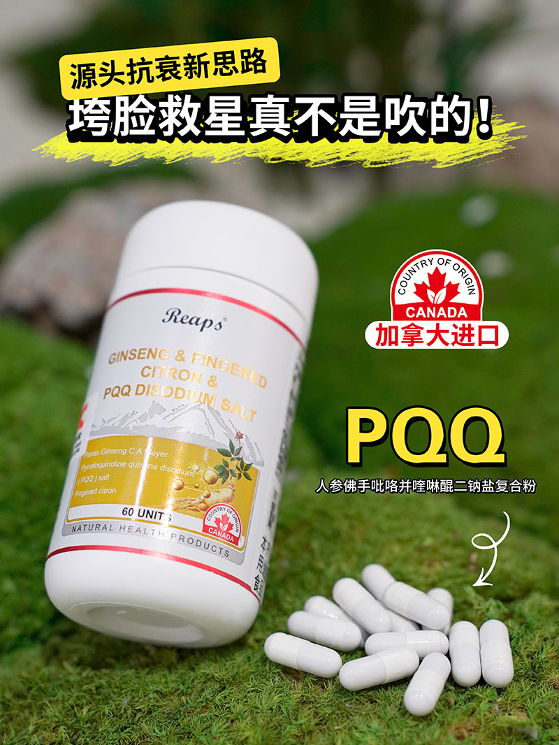 Reaps瑞普斯人参佛手吡咯并喹啉醌二钠盐复合粉1.jpg