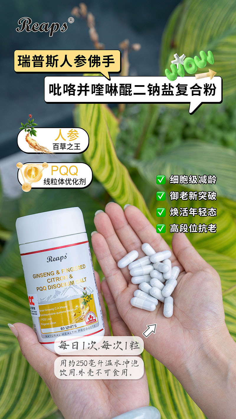 Reaps瑞普斯人参佛手吡咯并喹啉醌二钠盐复合粉4.jpg
