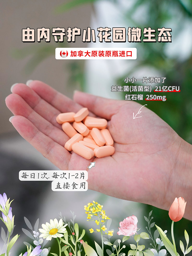 Reaps瑞普斯红石榴益生菌复合压片糖果3.jpg