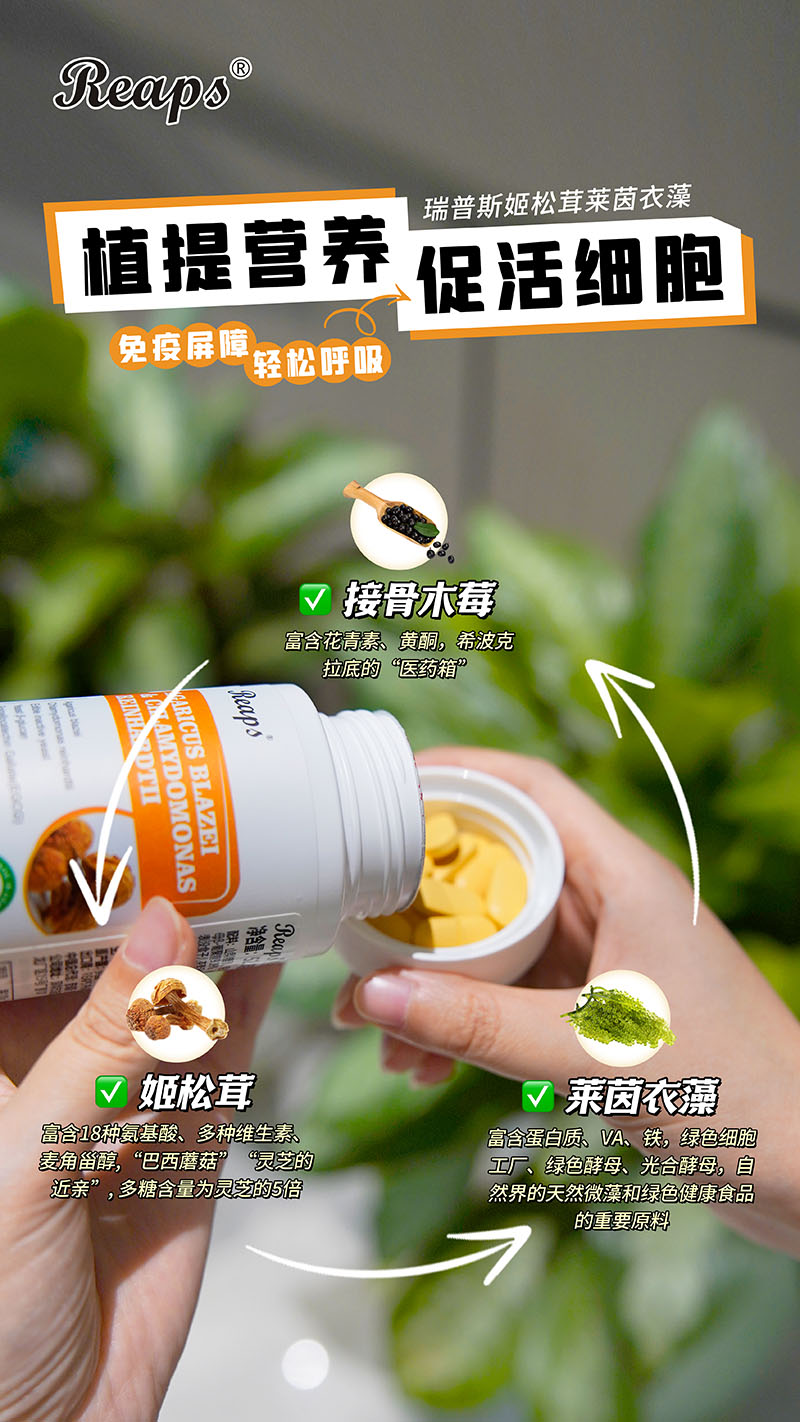 Reaps瑞普斯姬松茸莱茵衣藻复合压片糖果5.jpg