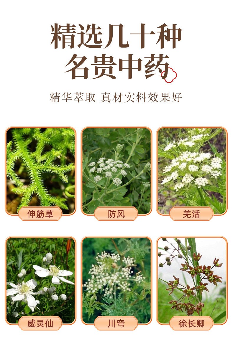 概述-4.jpg
