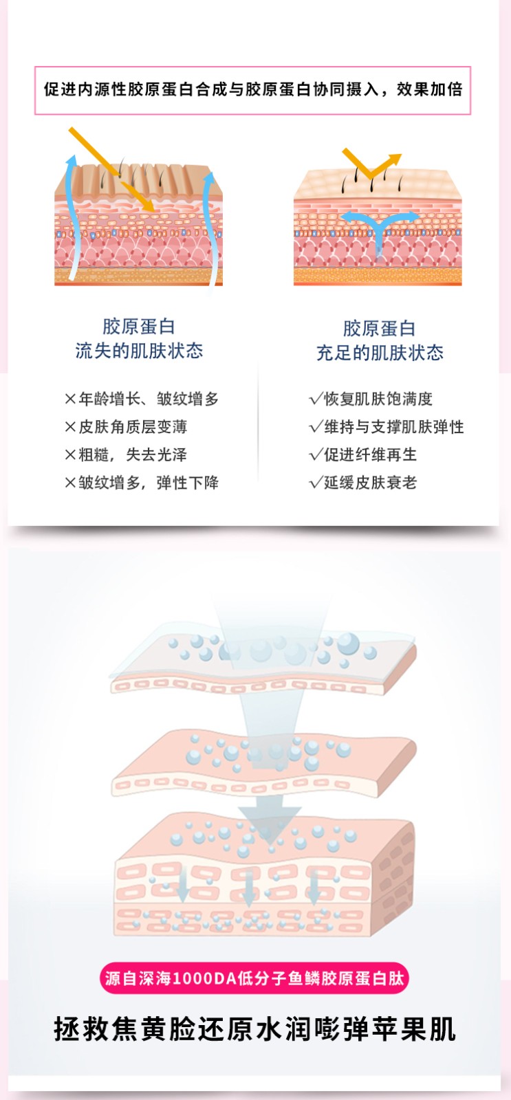 鱼鳞胶原蛋白详情页_03.jpg