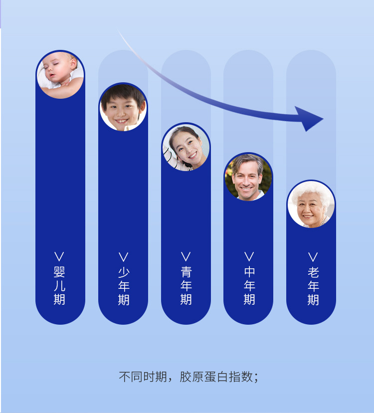 描述图_06.jpg