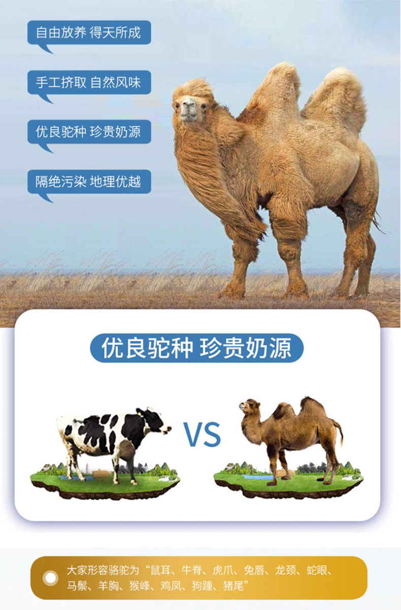 描述图_06.jpg