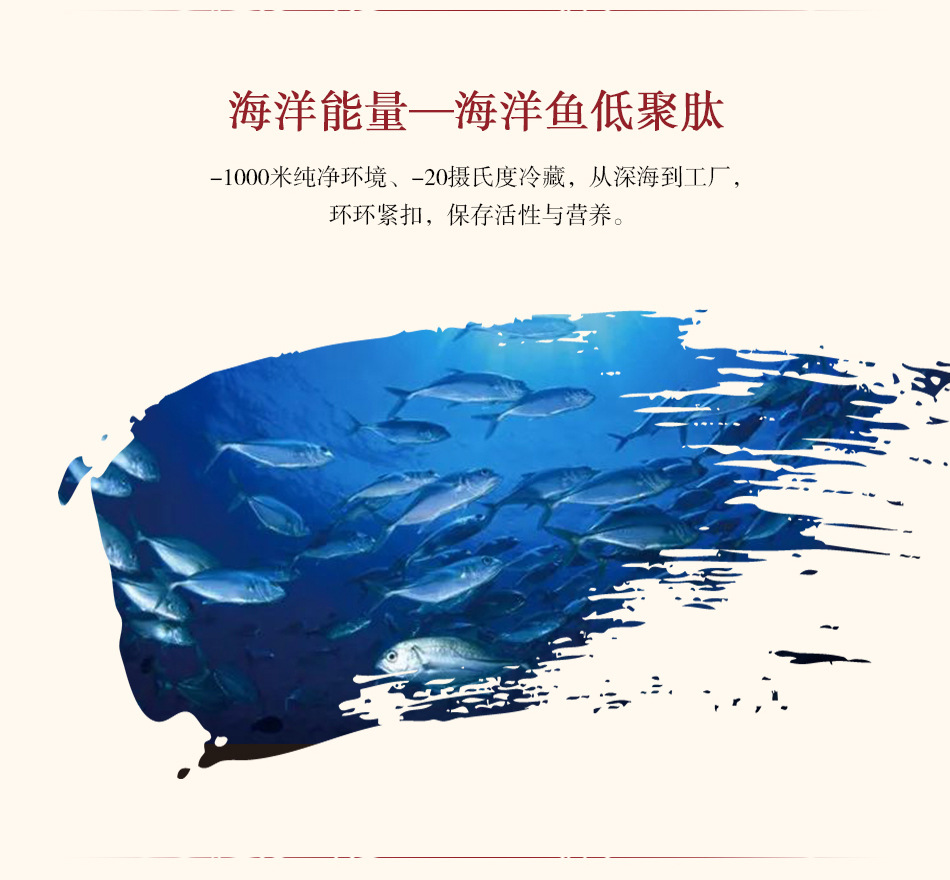 描述图_04.jpg