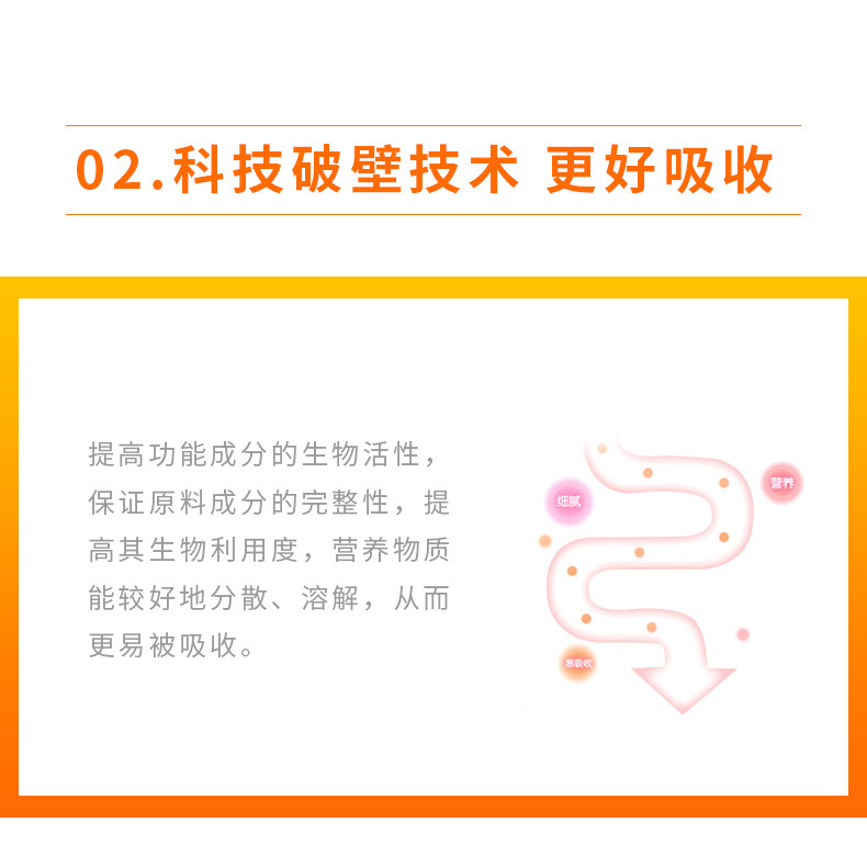 描述图_05.jpg