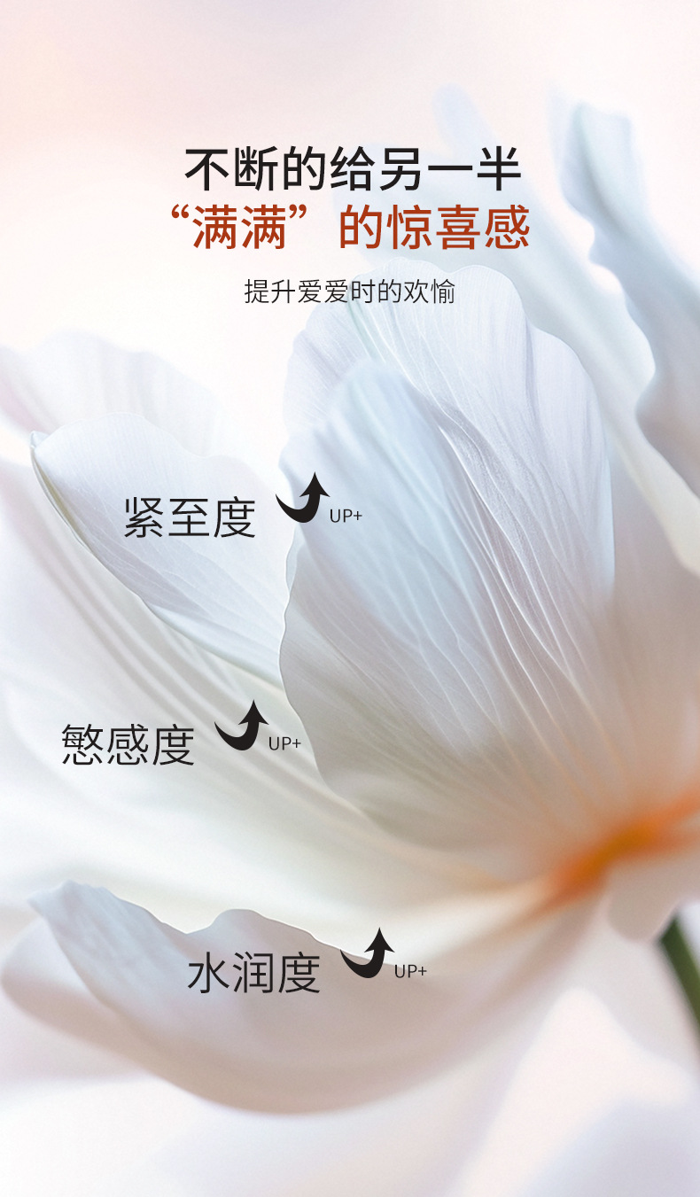 描述图_05.jpg