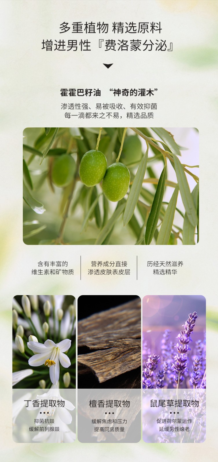描述图_07.jpg