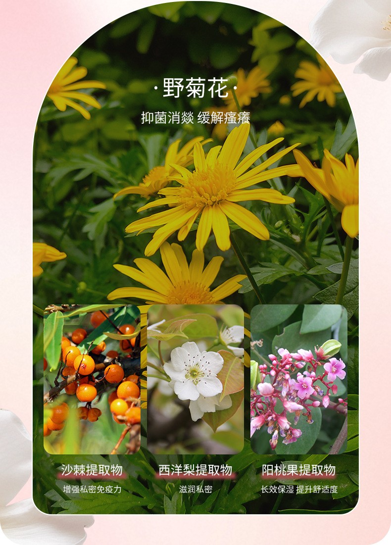 描述图_07.jpg