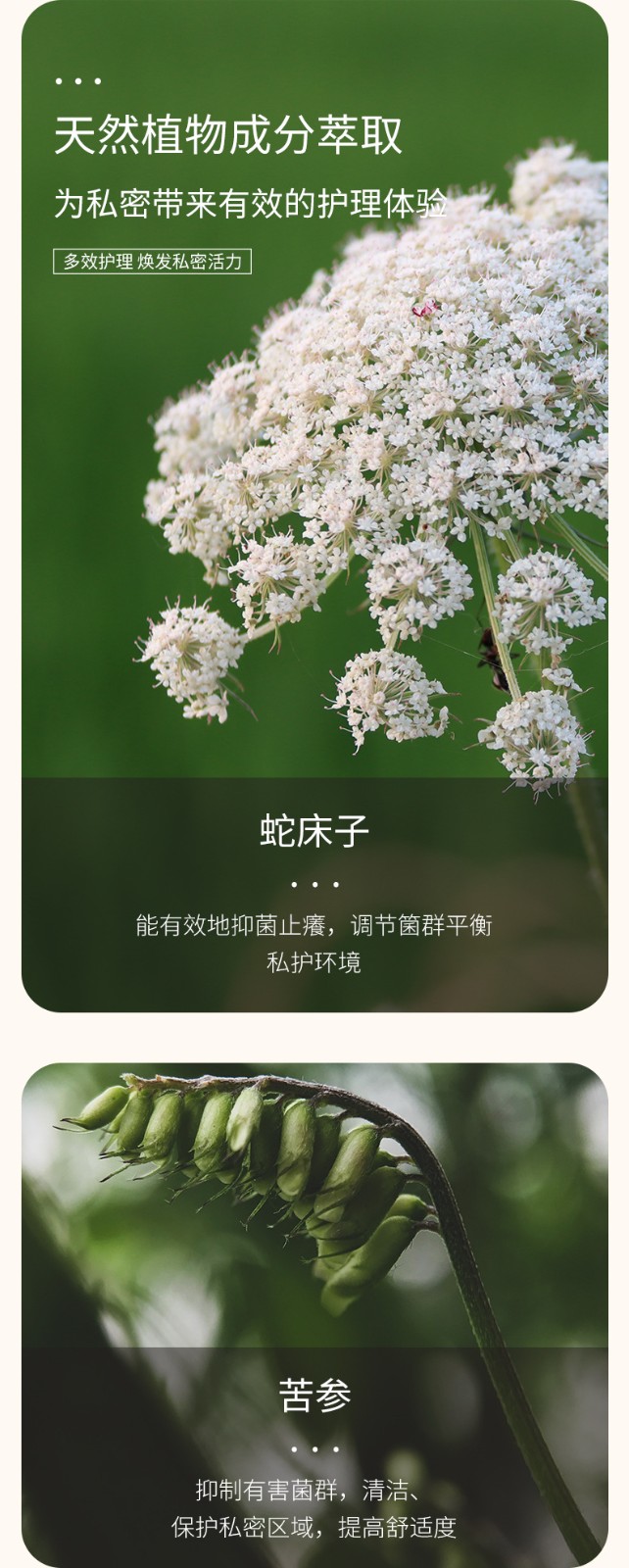 描述图_06.jpg