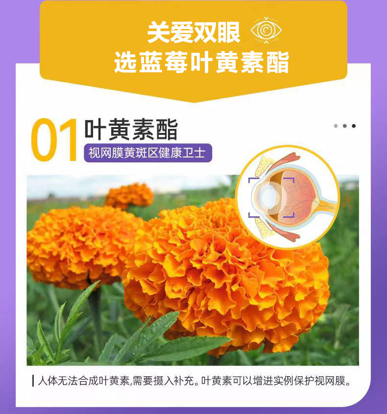 描述图_07.jpg