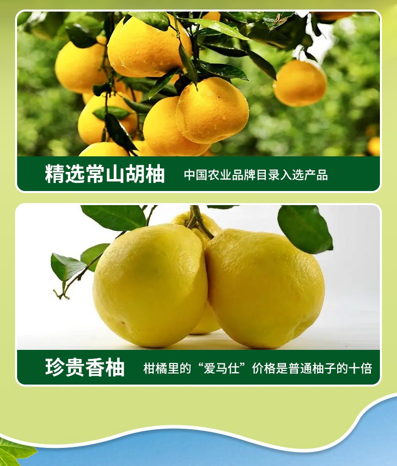双柚汁详情_04-2.jpg