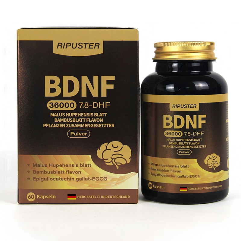 BDNF脑源性神经营养因子OEM代加工.jpg