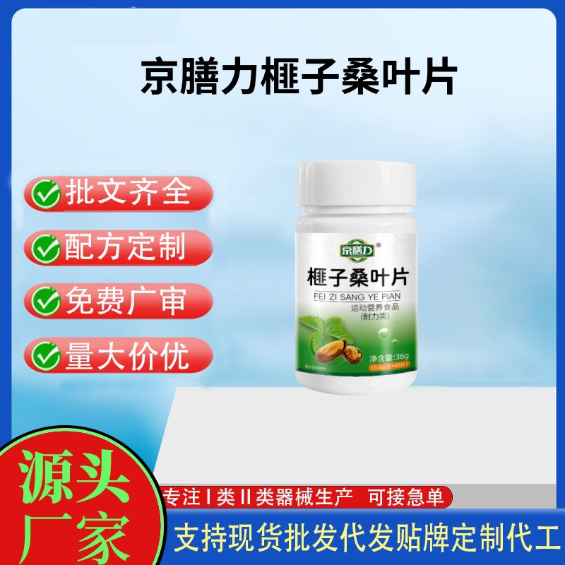 京膳力榧子桑叶片.jpg