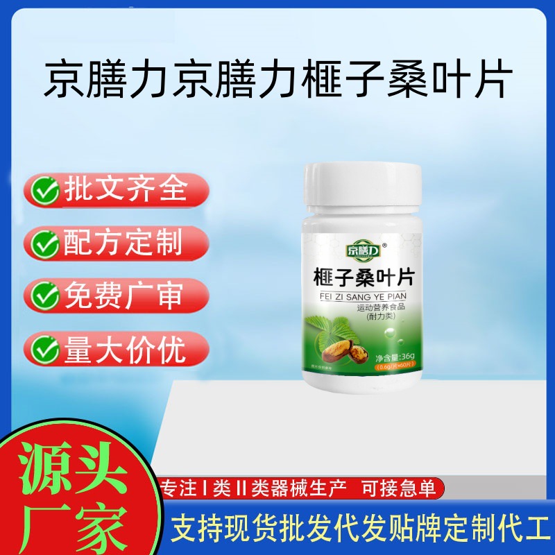京善力榧子桑叶片.jpg