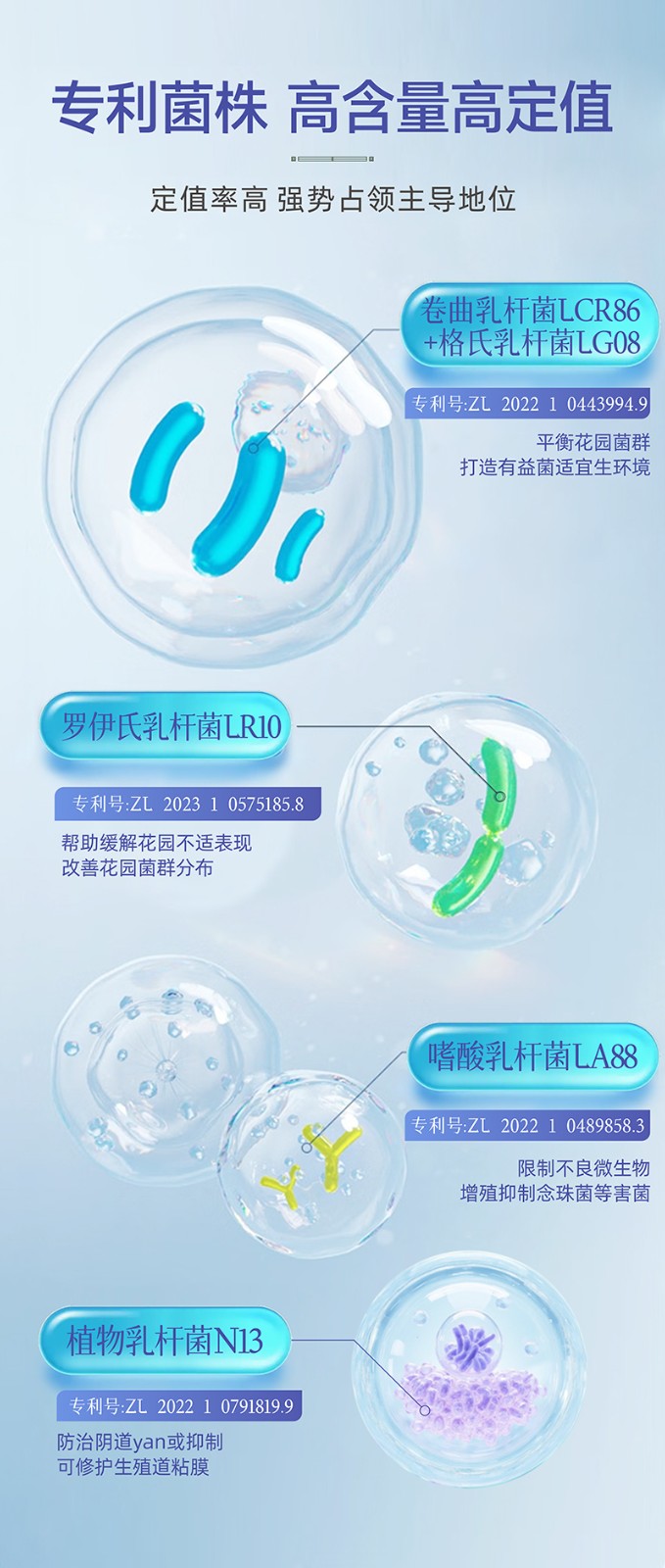 私护活性因子益生菌粉_05.jpg
