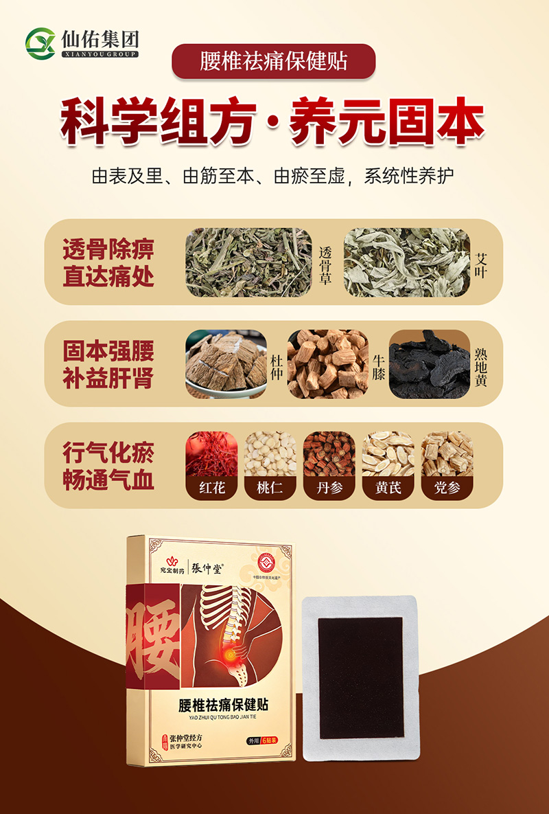 张仲堂腰椎祛痛保健贴4.jpg