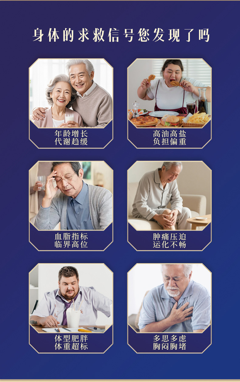 绞股蓝纳豆胶囊_05.jpg