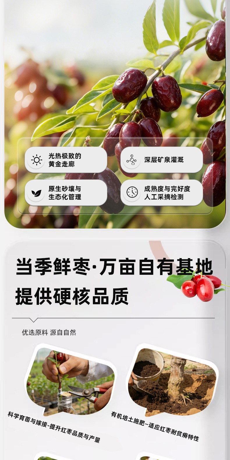 新详情_05.jpg
