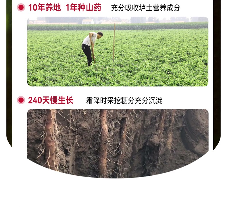 详情_08.jpg