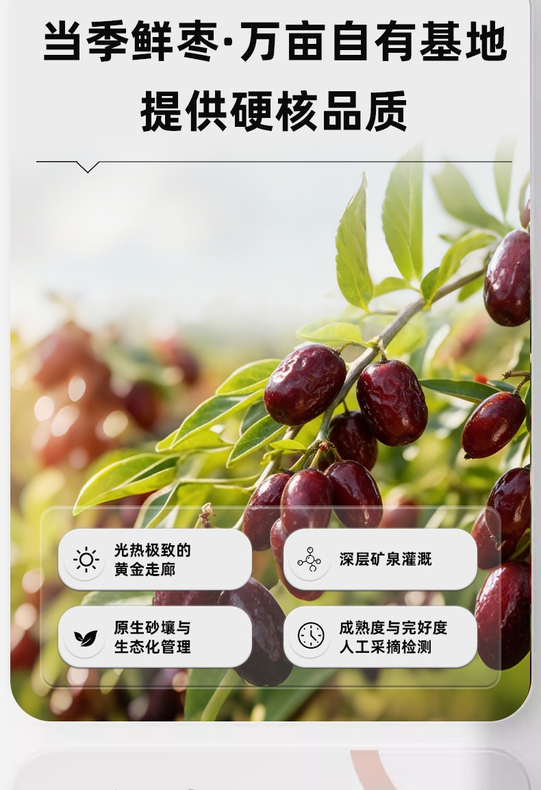详情00_05.jpg