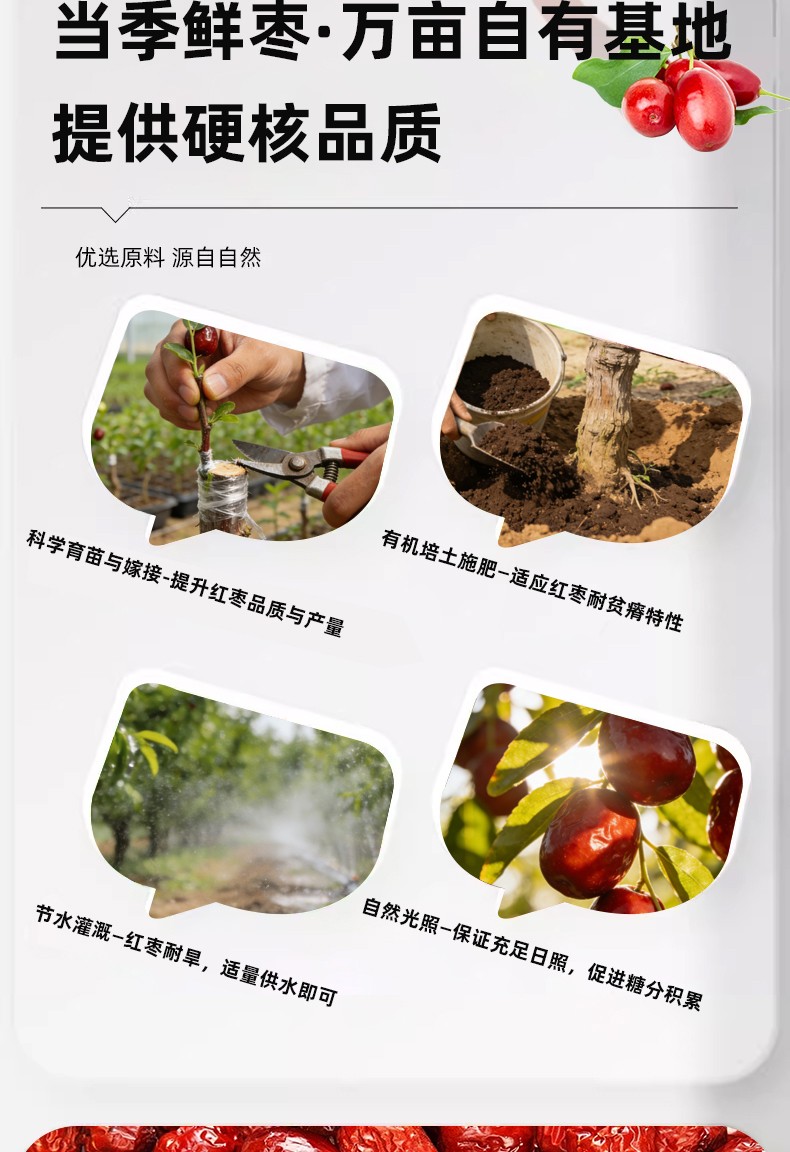 详情00_06.jpg