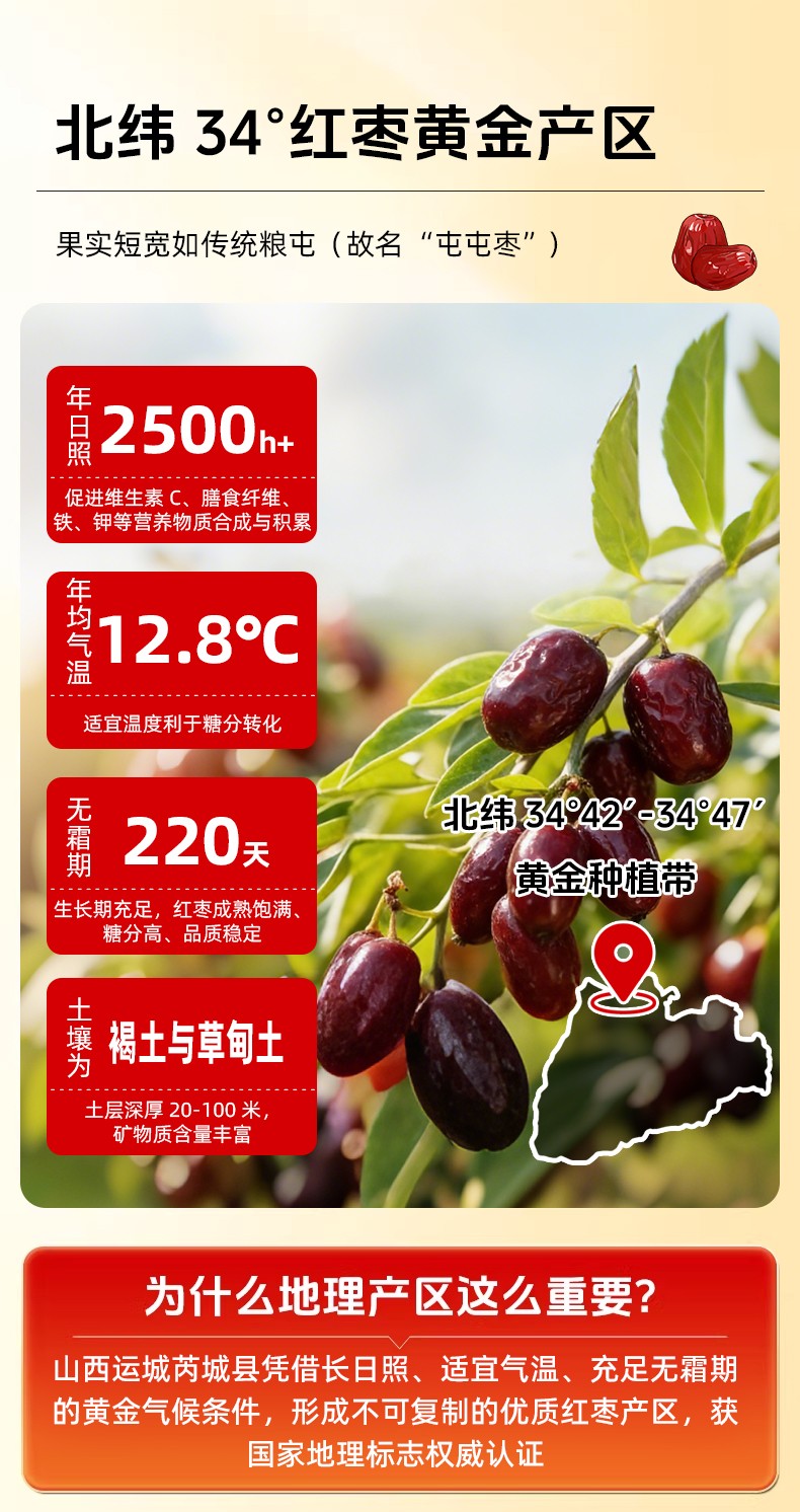 详情_03.jpg