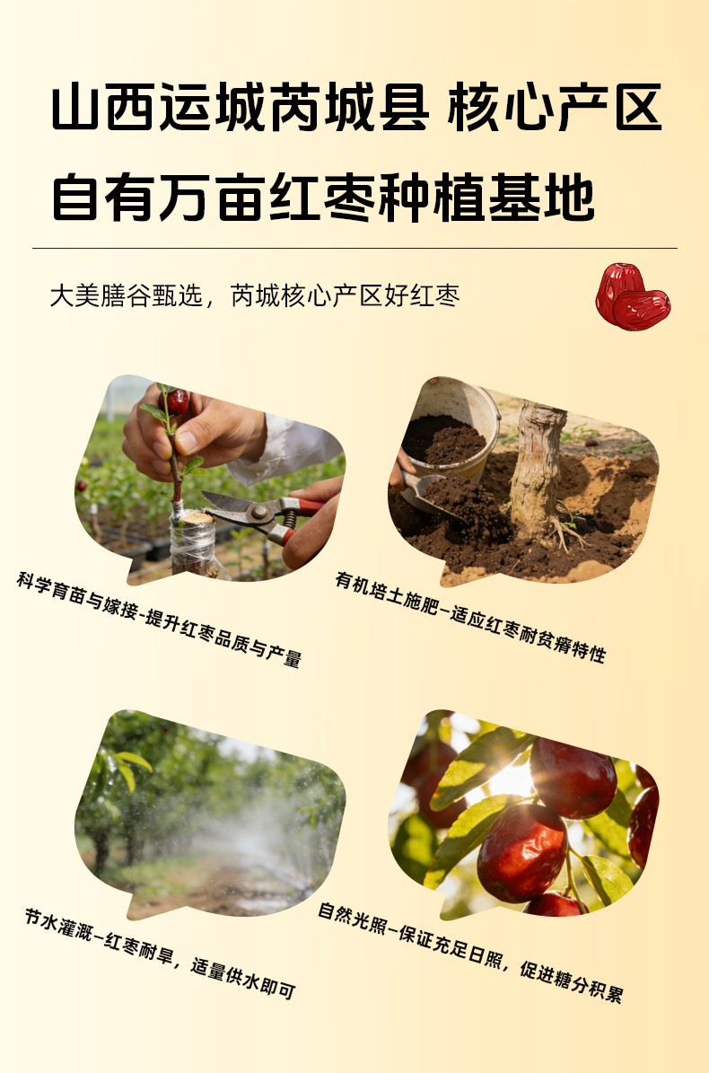 详情_06.jpg