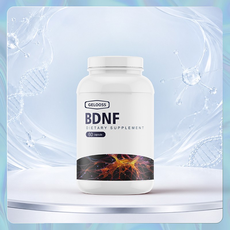 BDNF神经营养.jpg