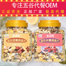 混合水果坚果麦片500gOEM代加工