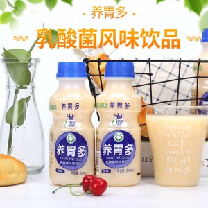 养胃多乳酸菌酸奶饮料饮品340ml贴牌OEM/ODM